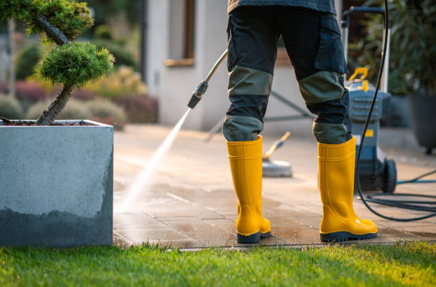 Best Pressure Washing Estimates  in Gordo, AL
